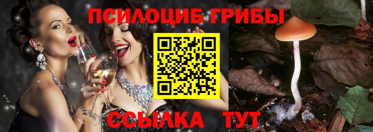 Йошкар-Ола  Псилоцибиновые грибы ЛСД  Вход с VPN 
